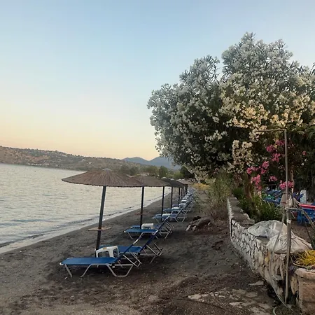 Dimitris 1 Kamáres